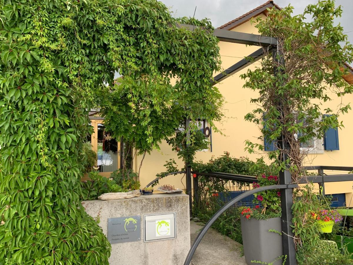RivazLa Gremillette Gourmande Lavaux公寓 外观 照片